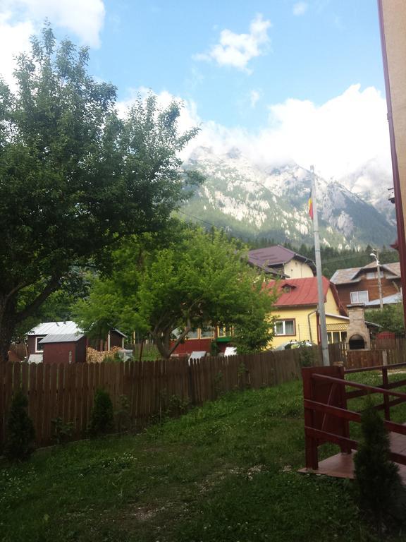 Casa Montana Buşteni Cameră foto