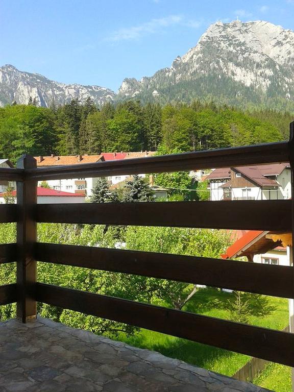Casa Montana Buşteni Cameră foto
